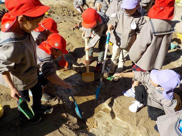 ナイル川 安田幼稚園