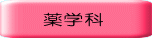 　 薬学科