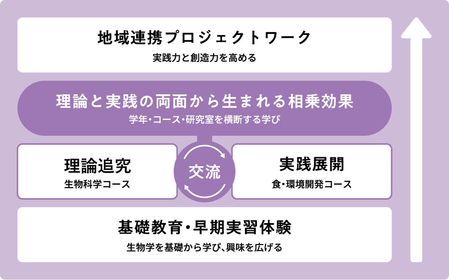 学びの内容