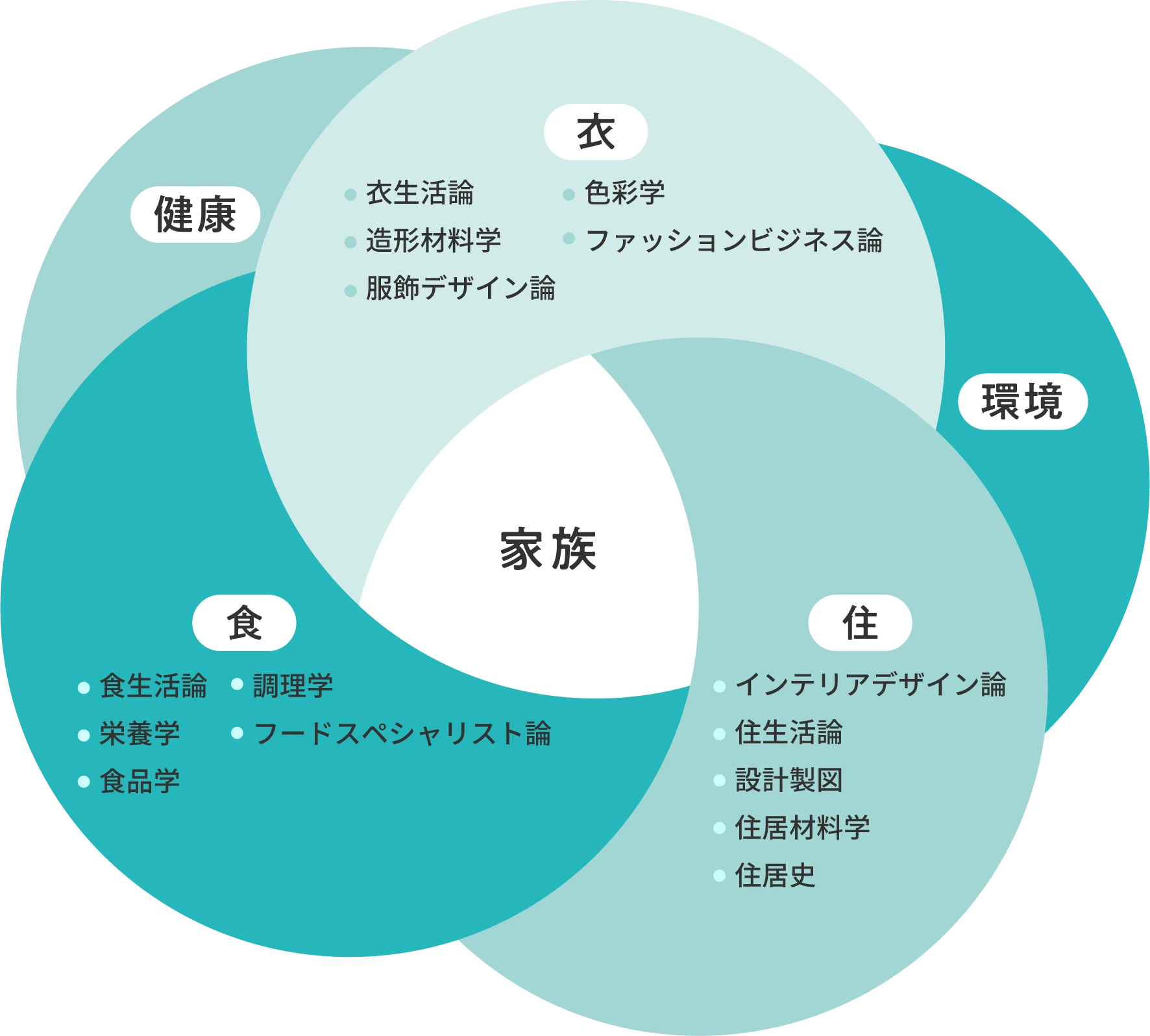 学びの内容