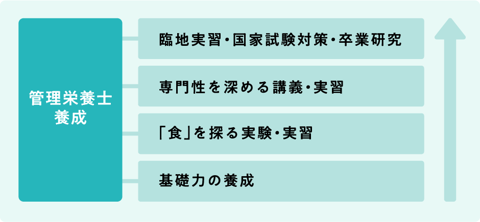 学びの内容