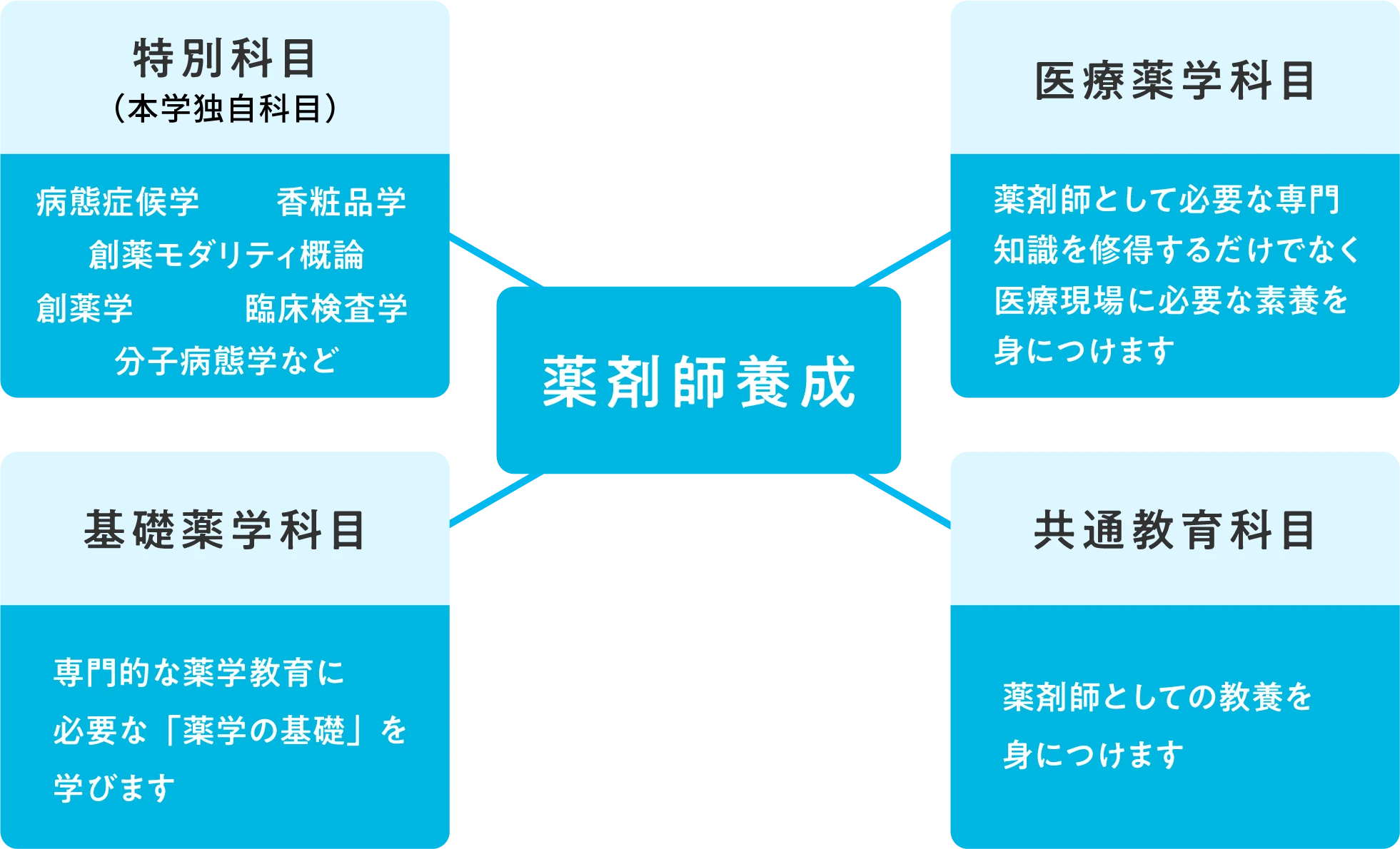 学びの内容