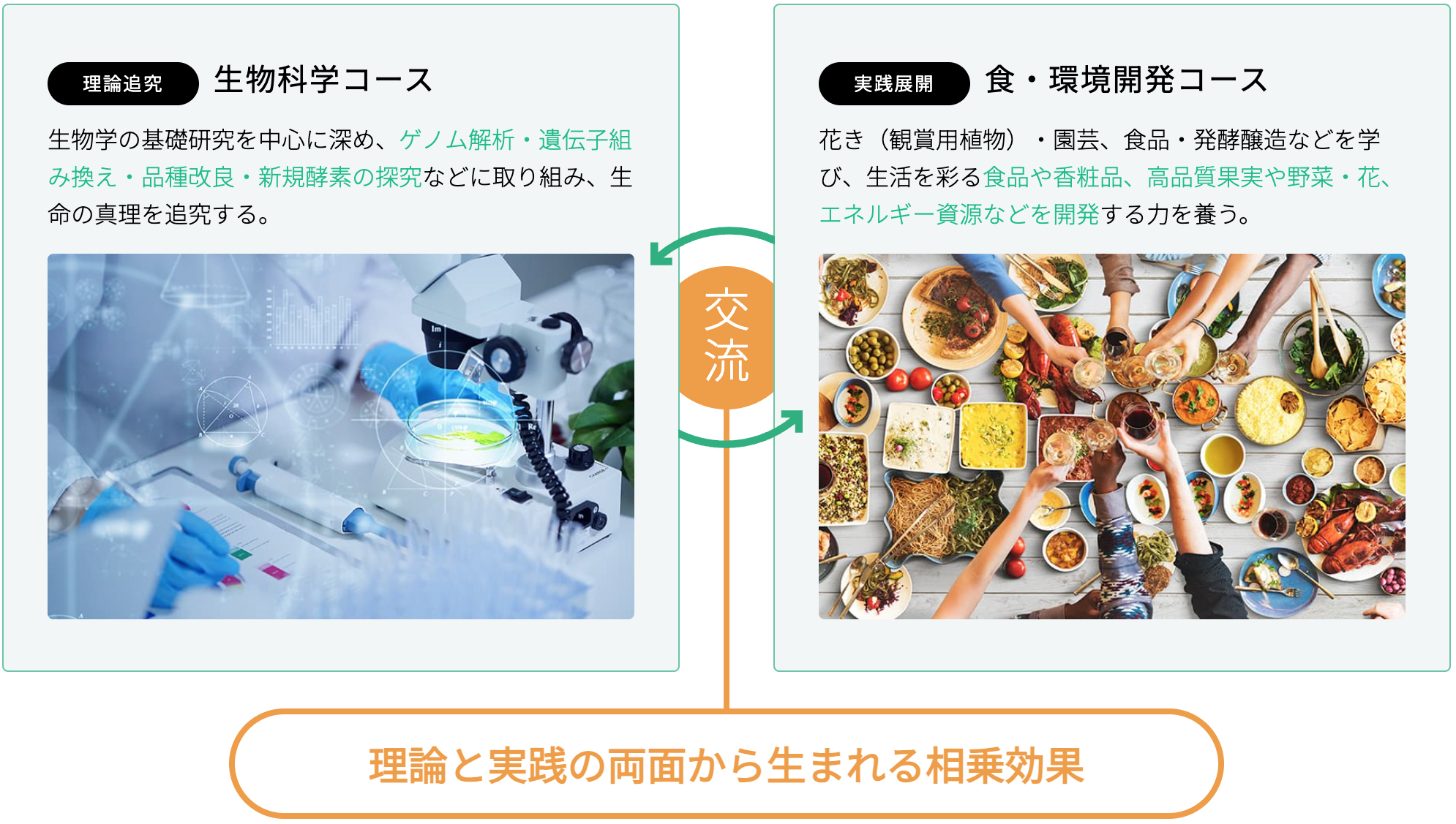 理論追求・実践展開の2コース展開で専門性を深める｜安田女子大学 生物科学科
