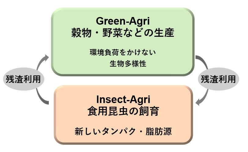サイクル