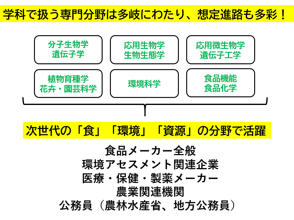 学科説明4