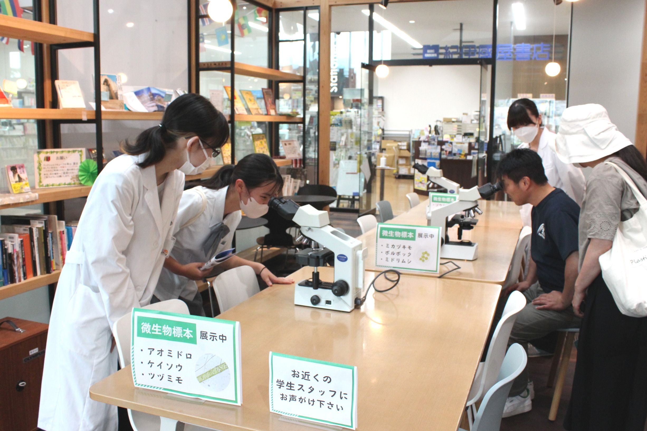 観察