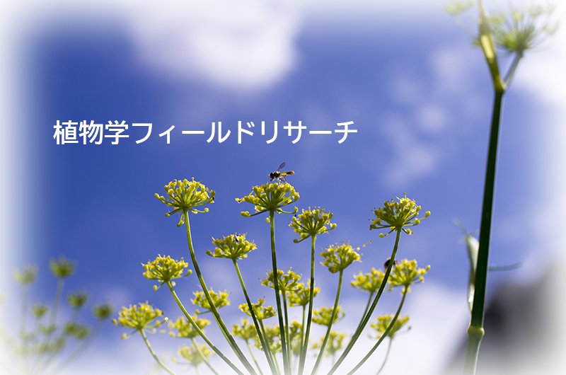 seibutsu20250624_00.jpg
