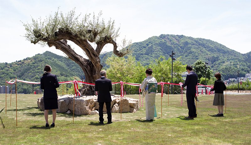 seibutsu20260601_05.jpg