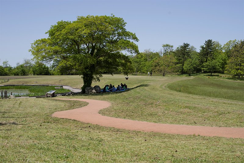 seibutsu20260617_00.jpg