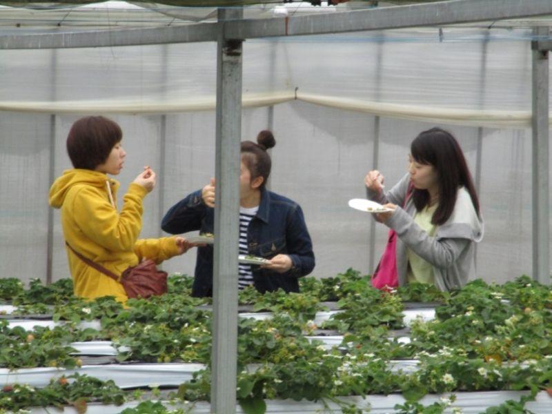 genbi20160422_04.jpg