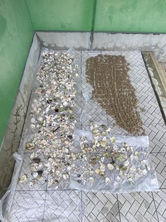 genbi20231107_06.jpg