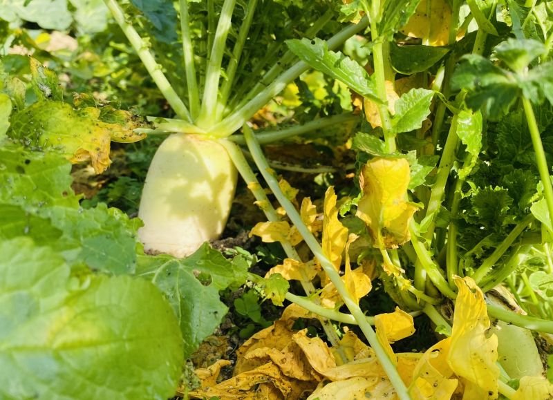 kanri20201218_3_02.jpg