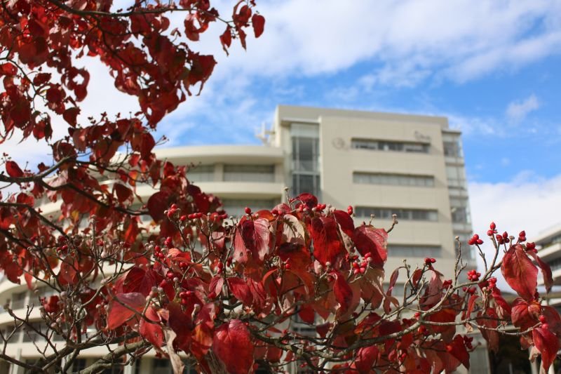 kanri20211116_05.jpg