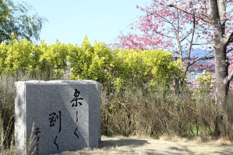 kanri20220403_02.jpg
