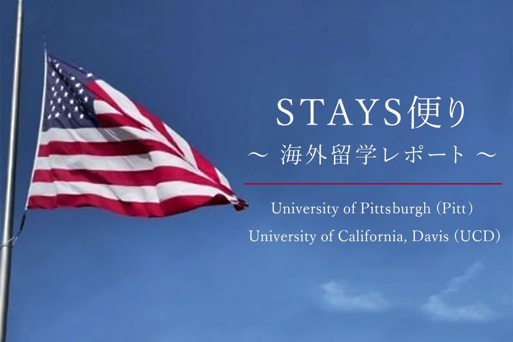 STAYSリポート|安田女子大学英語英米文学科
