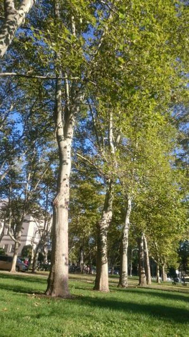 eibun20161013_02.jpg