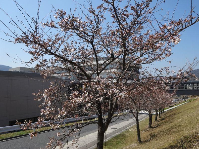eibun20170406_01.jpg