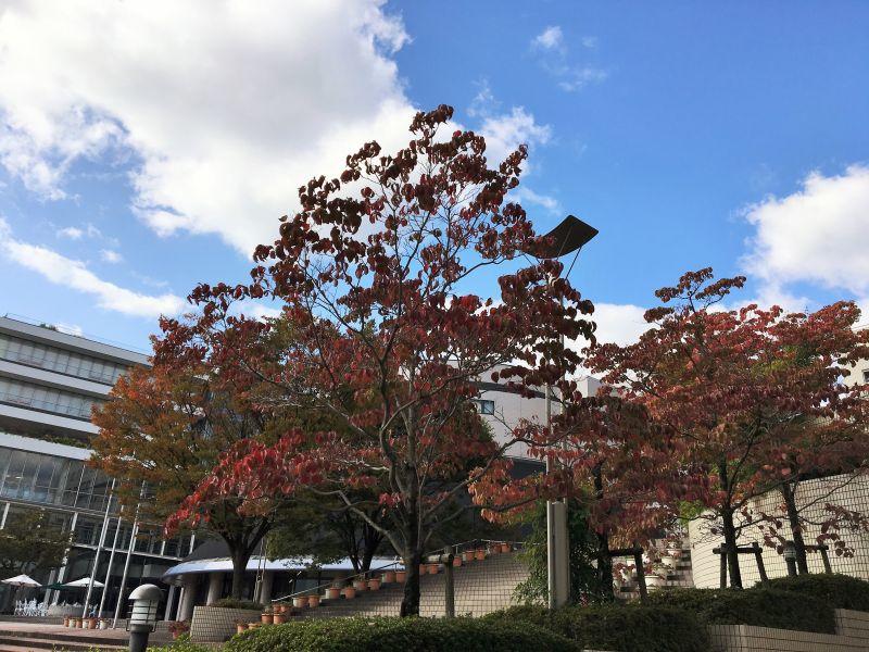 eibun20171027_04.jpg