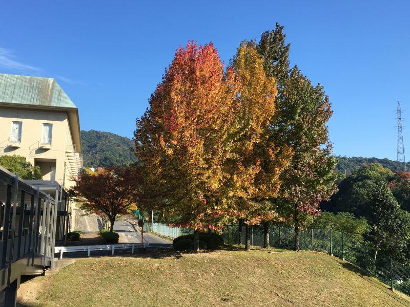 eibun20171107_16.jpg
