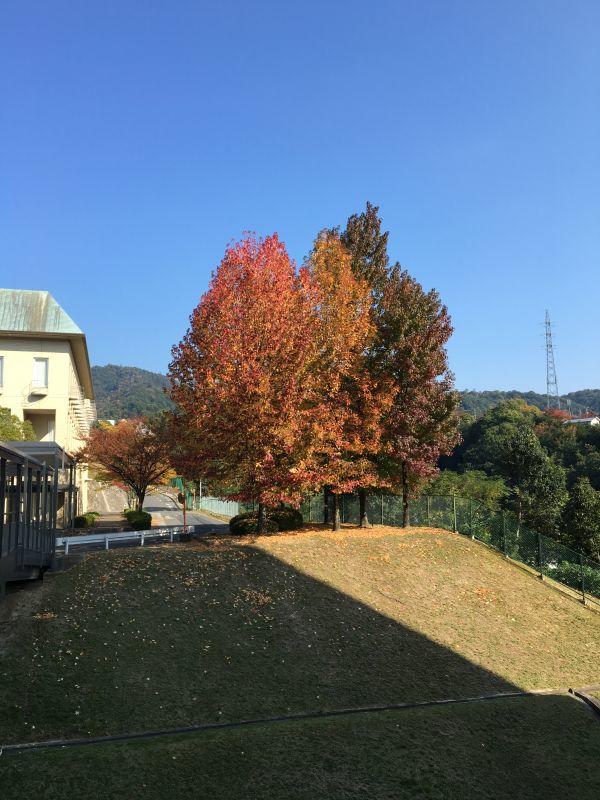 eibun20171116_33.jpg