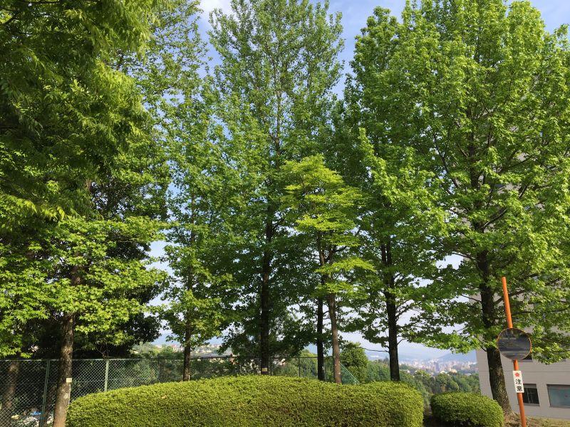 eibun20180521_02.jpg