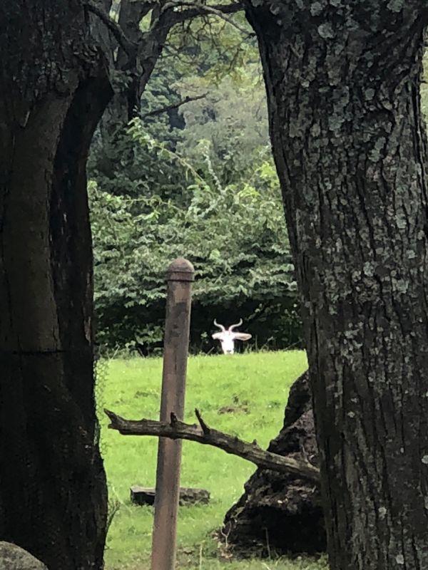 eibun20181024_10.jpg