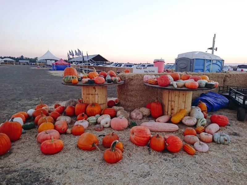 eibun20181129_01.jpg