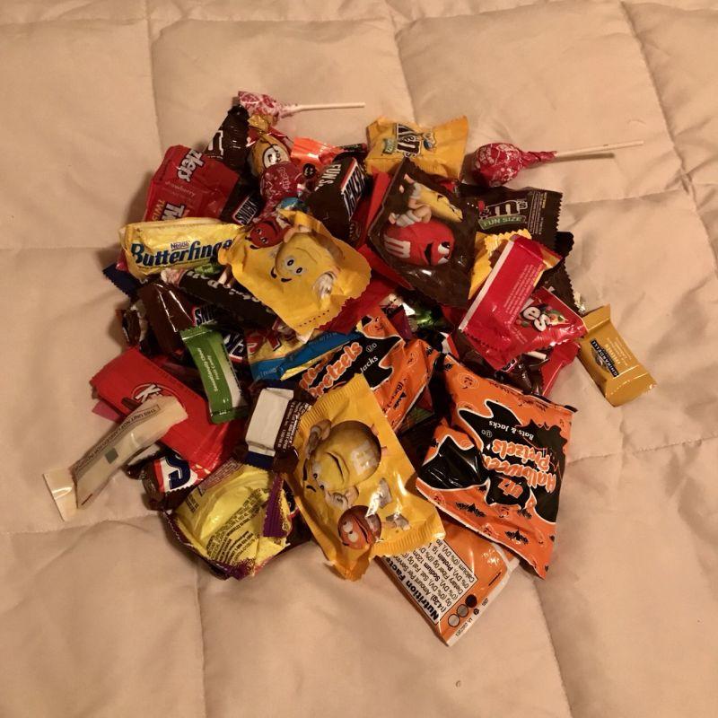 eibun20181129_04.jpg