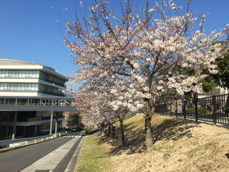 eibun20190405_05.jpg