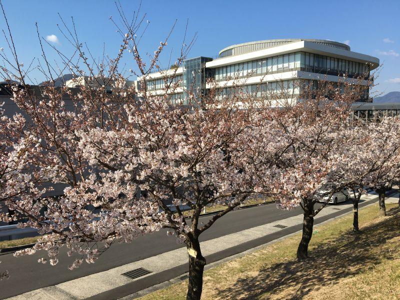 eibun20190405_06.jpg