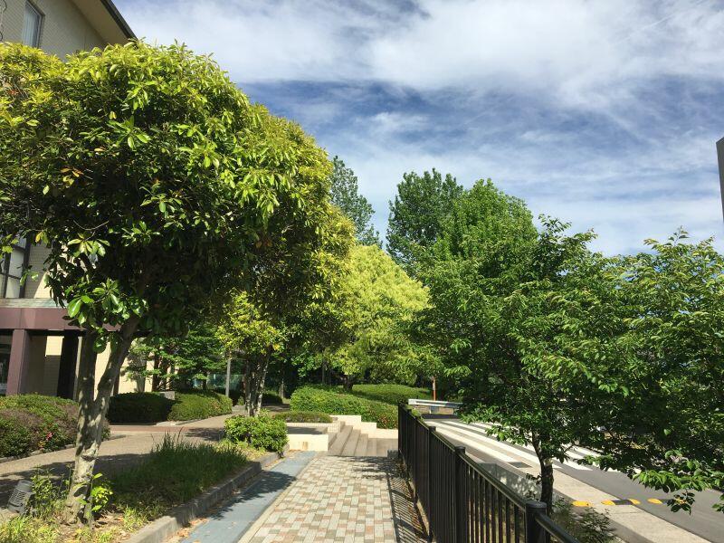 eibun20190524_03.jpg