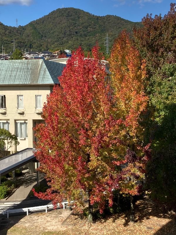eibun20211108_05.jpg