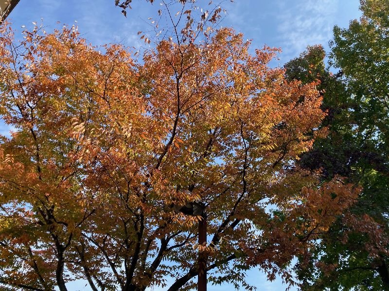 eibun20211108_06.jpg