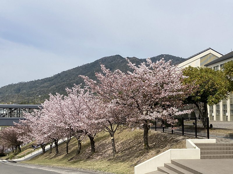eibun20230406_07.jpg
