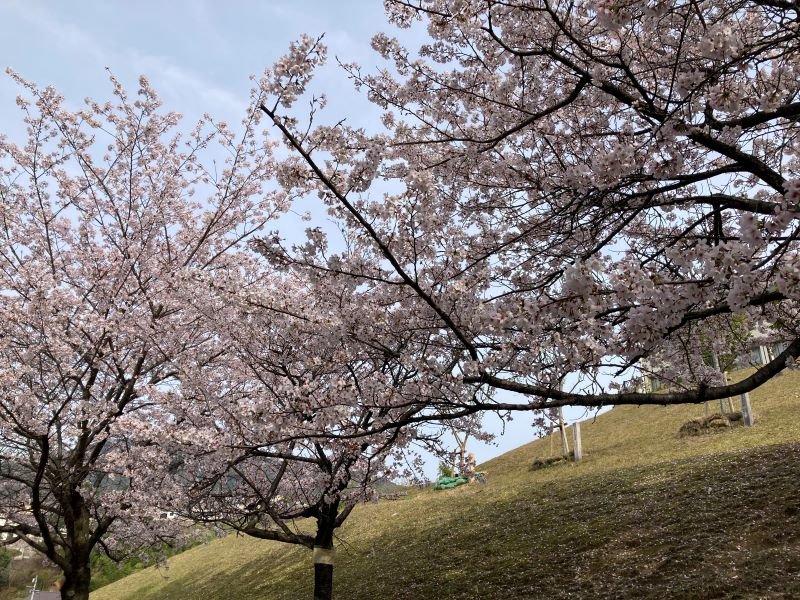 eibun20240408_06.jpg