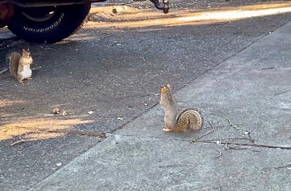 eibun20250206_07.jpg