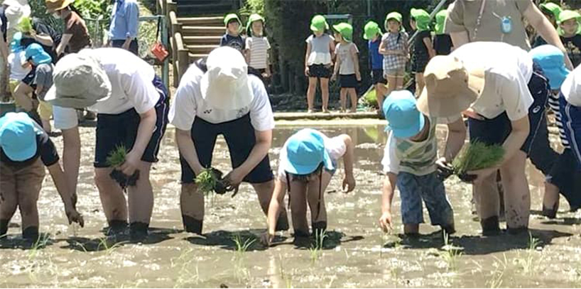 実践力を育む豊かな教育環境｜安田女子大学 幼児教育学科