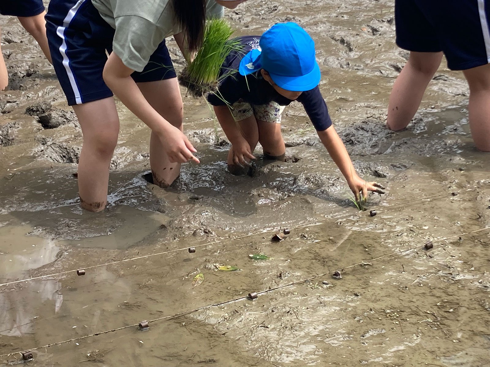20240611_taue4.jpg
