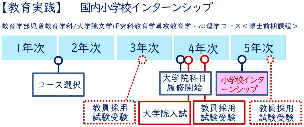 【教育実践】国内小学校インターンシップ