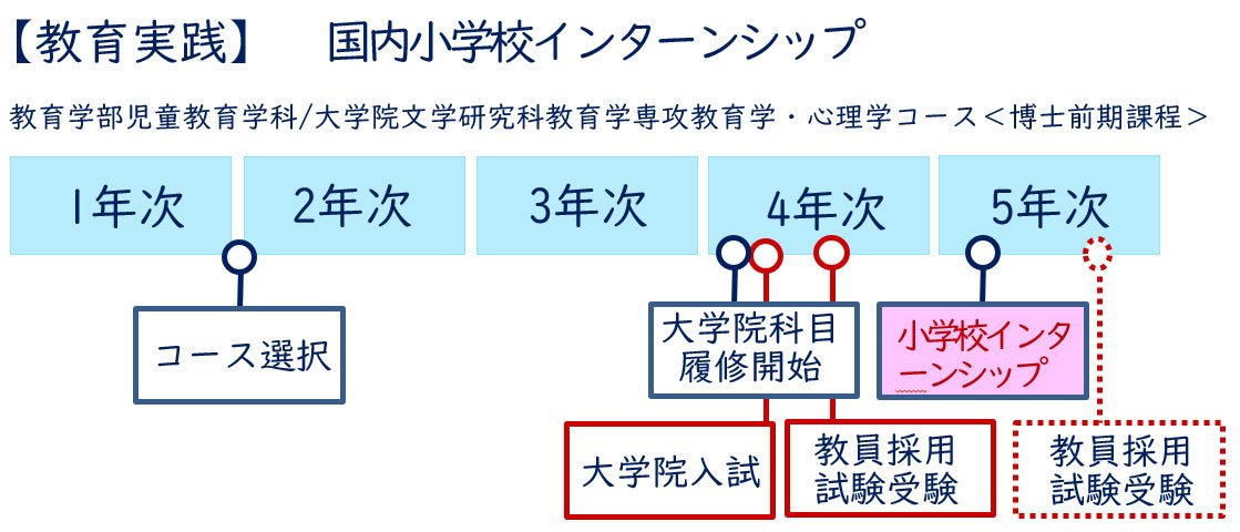 【教育実践】国内小学校インターンシップ
