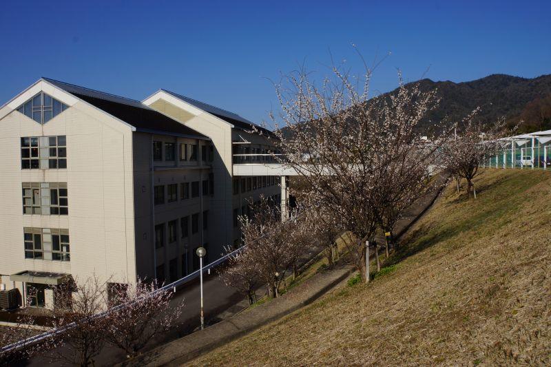 jikyo20190320_01.JPG