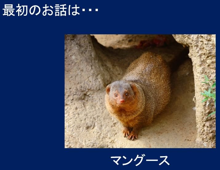 jikyo20210324_02.jpg