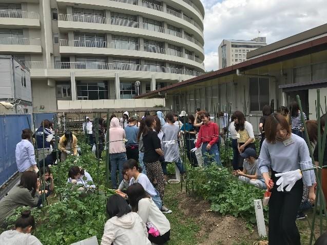 seide20170529_3_02.jpg