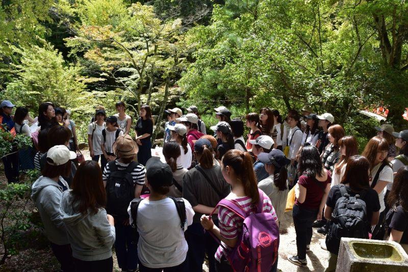 seide20180919_01.jpg