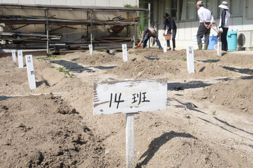 seide20200522_03.jpg