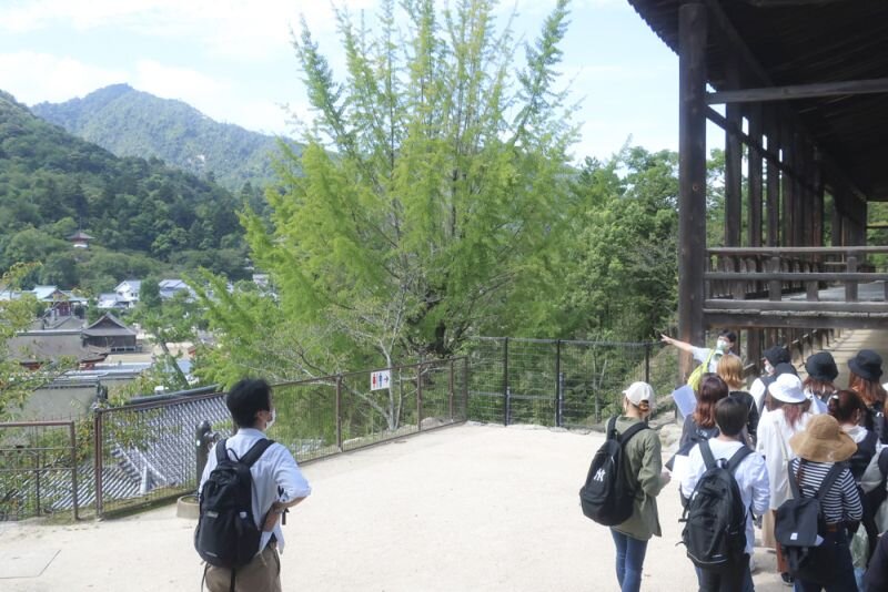 seide20200917_02.jpg