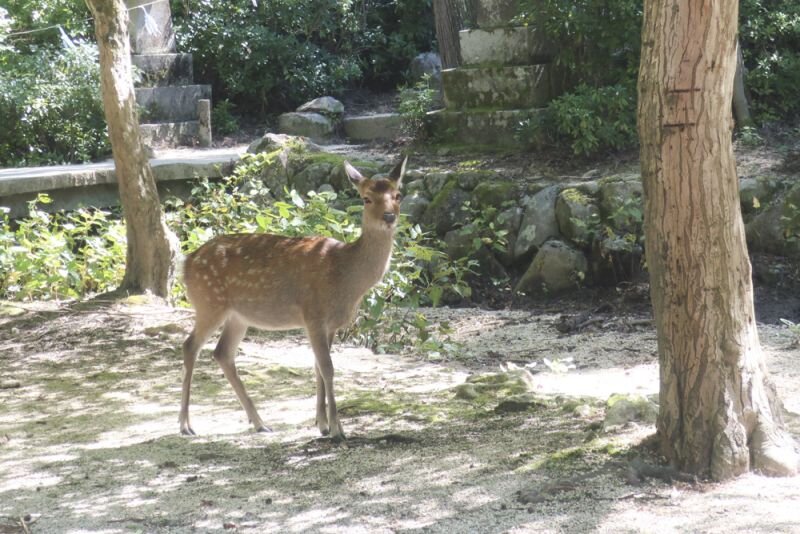seide20200917_04.jpg
