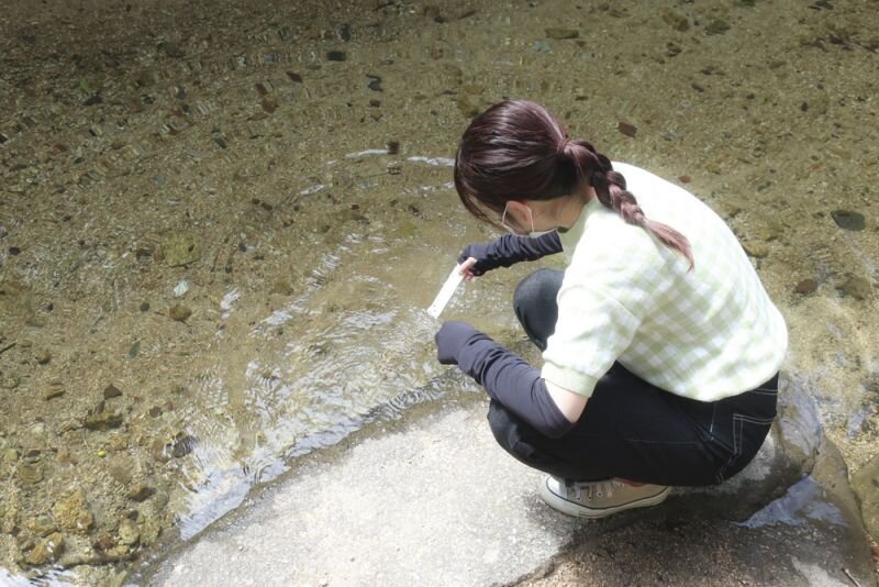 seide20200917_06.jpg
