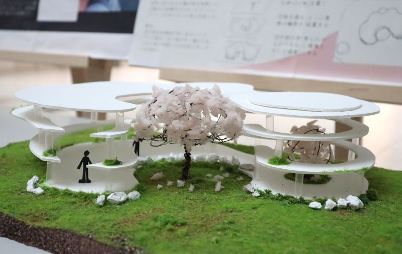 seide20260617_05.JPG