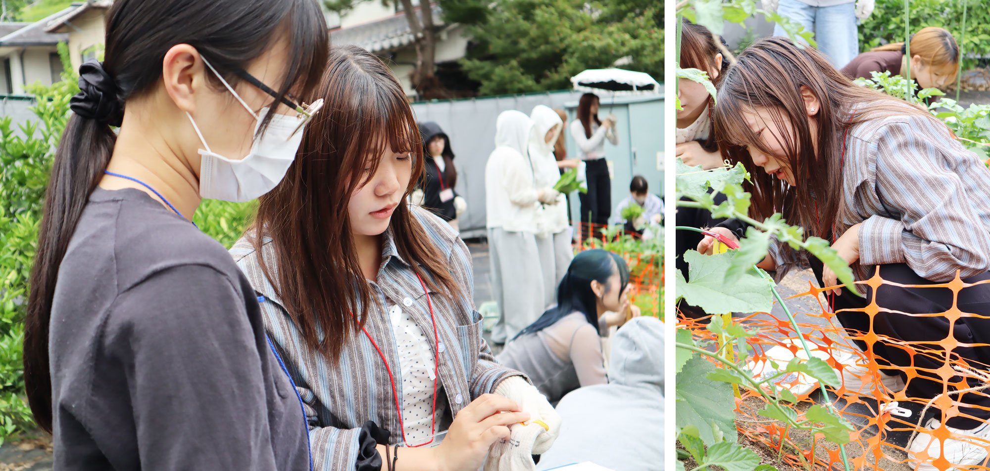 20260624_seide_n_2.jpg